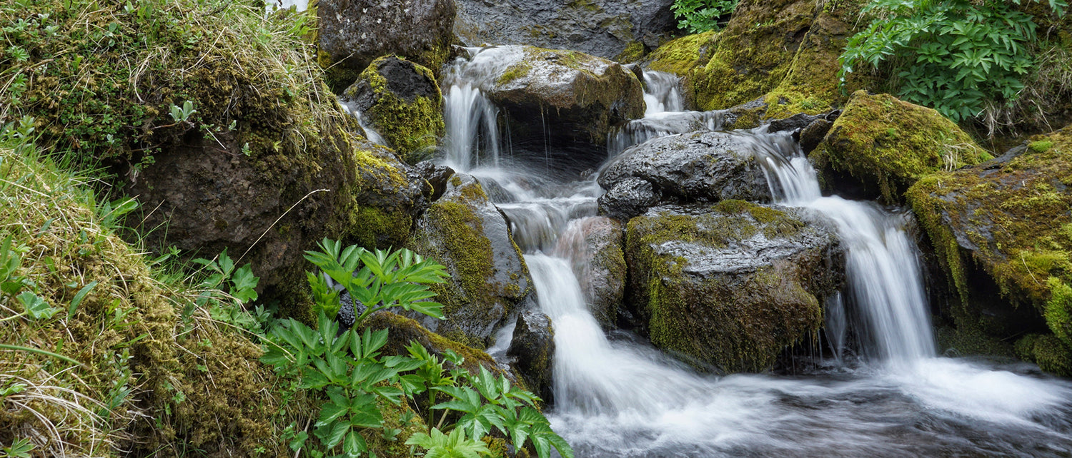 Our Water – Pure One | Natural New Zealand Mineral Water